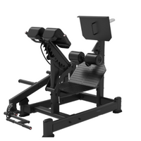 Kommerziell 45-Grad Hip Extensioun Machine