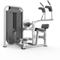 Commercial Abdominal & Core Trainer