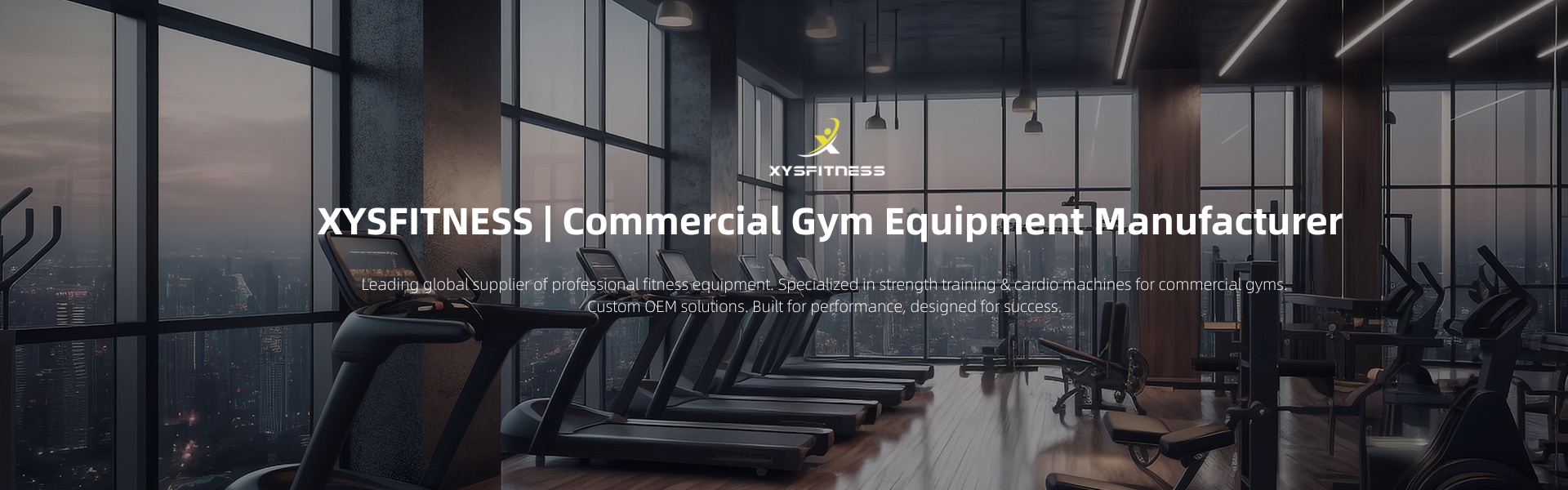 plate loaded seated dip machine