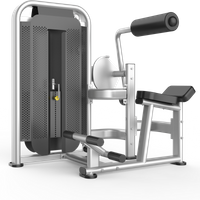 Commercial Back Extension Machine