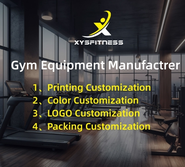 plate loaded seated dip machine