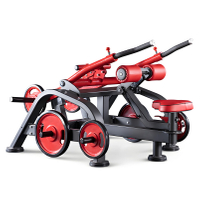 XYSFITNESS DIPw bɛ dual system (XYMC0002) digi .