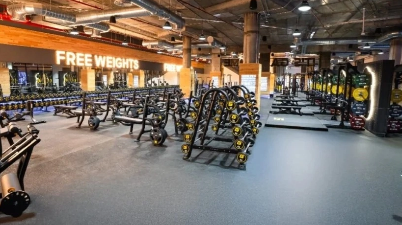 Mengapa Mesin Bermuatan Pelat Penting untuk Latihan Kekuatan: Manfaat dan Rekomendasi