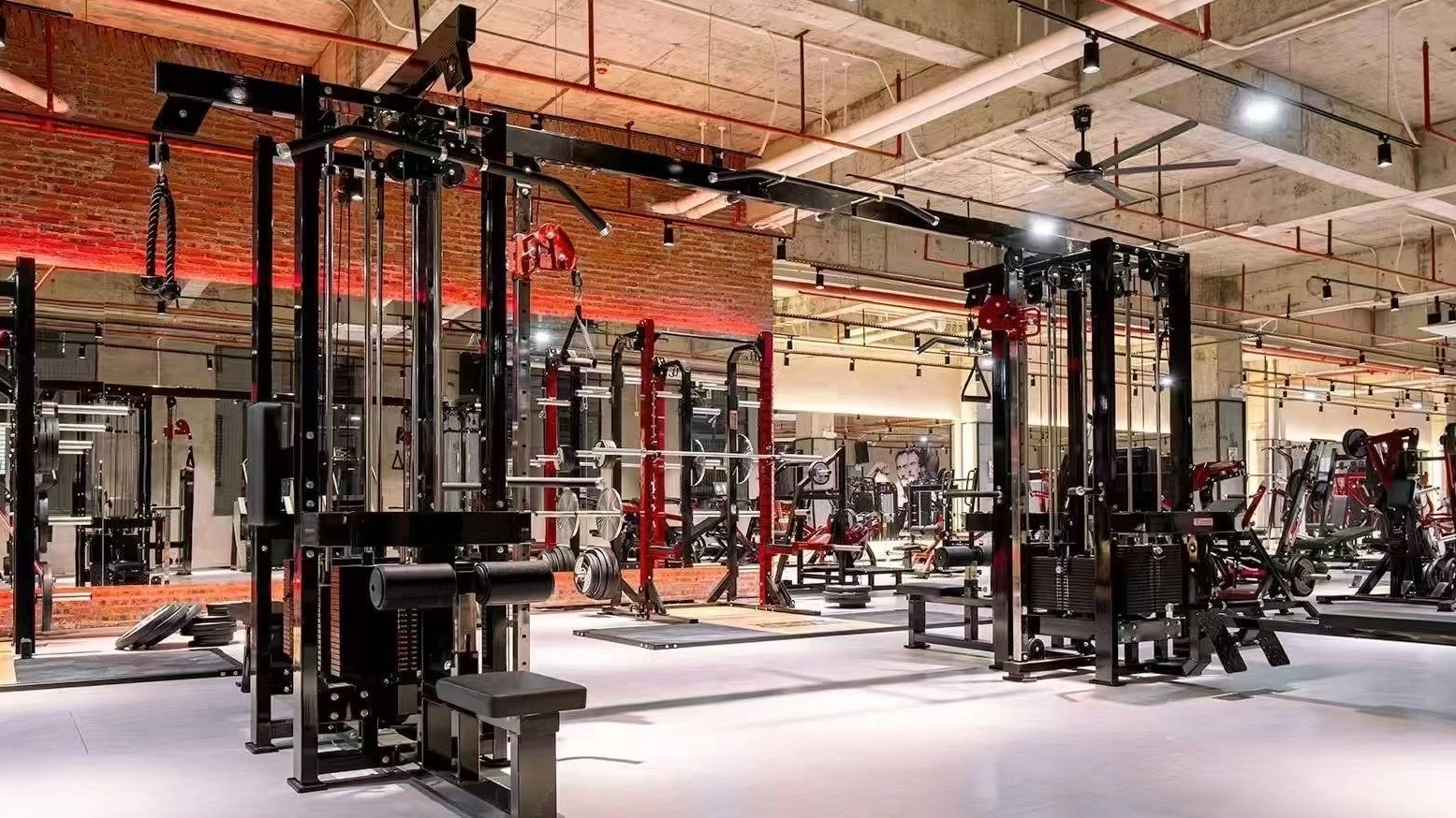 Mangpaat Top Nganggo Squat Rack: Naha Anjeun Kedah Ngalebetkeun kana Rutinitas Latihan Anjeun